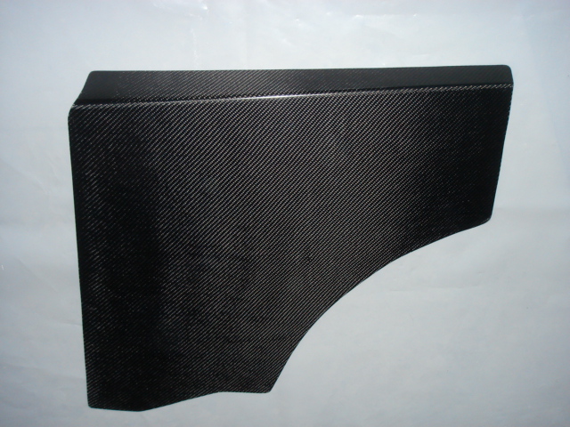 G - panneaux porte carbone